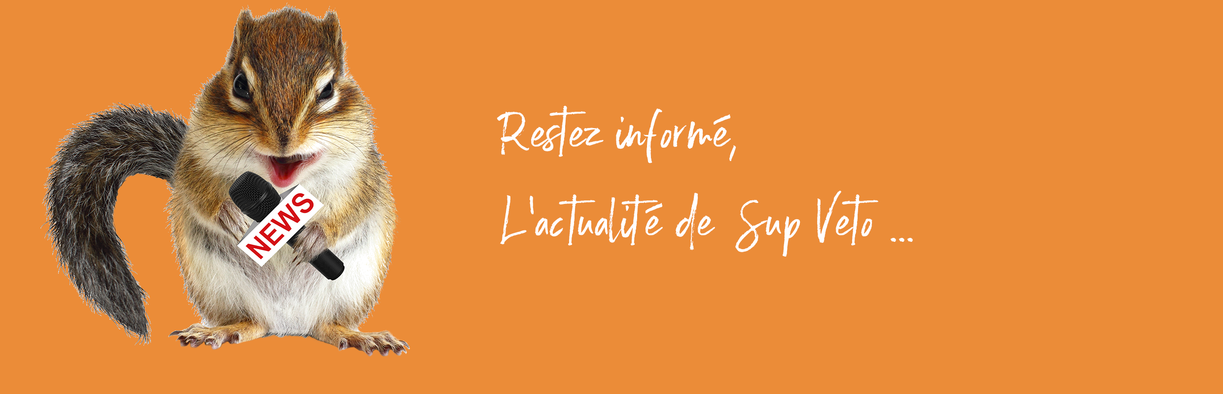 CPES_Bandeau_Ecureuil def CPES_Bandeau_Ecureuil def