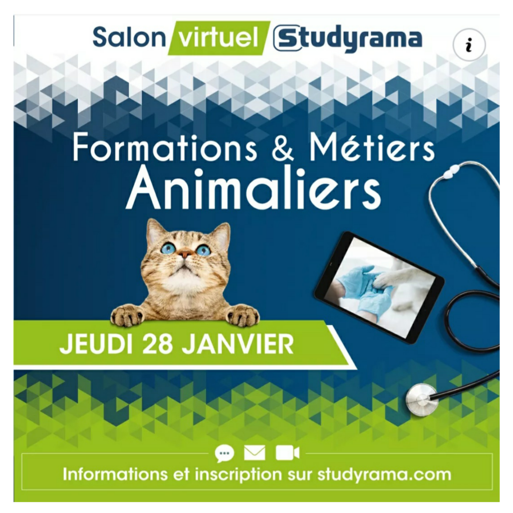 Bachelor Chargé De Gestion Et De Management En Structure Animalière