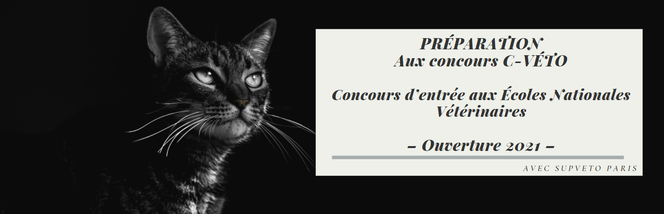 cat1 cat1