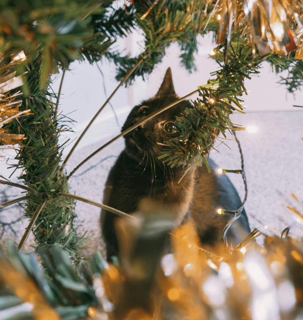 Un chat noir curieux caché dans les branches d’un sapin de Noël décoré, entouré de guirlandes et de lumières.