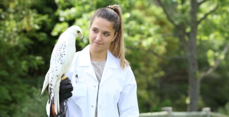 auxiliaire spécialisé vétérinaire NAC