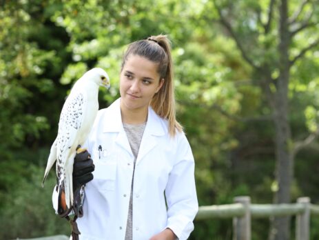 auxiliaire spécialisé vétérinaire NAC