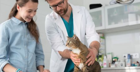 Auxiliaire spécialisé vétérinaire