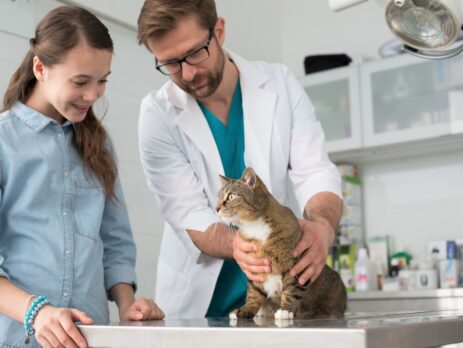 Auxiliaire spécialisé vétérinaire