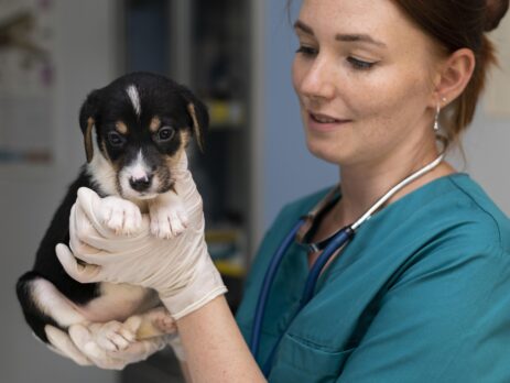 auxiliaire vétérinaire en Île-de-France