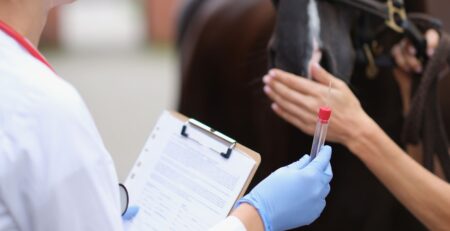 analyse biologique vétérinaire